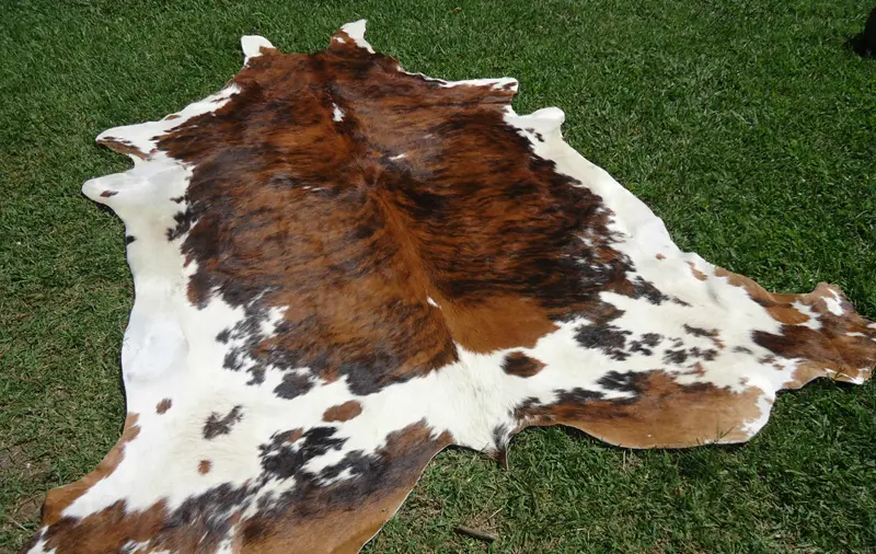 Cow  Hide